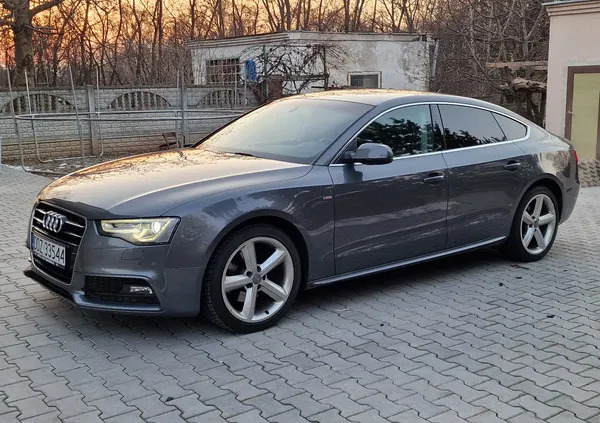 audi Audi A5 cena 75900 przebieg: 215000, rok produkcji 2014 z Lesko